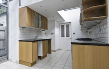 Bronwydd kitchen extension leads